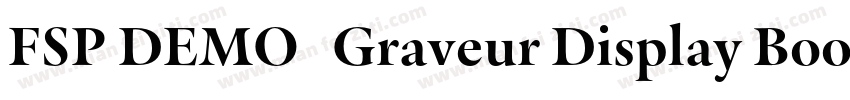 FSP DEMO   Graveur Display Book Reg字体转换